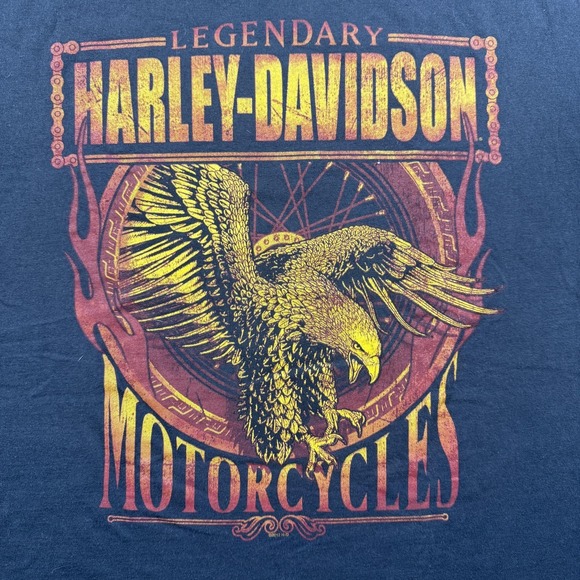 Harley-Davidson Other - Harley-Davidson Shirt Mens Large Gray Eagle Brunswick Troy NY Motorcycle Tee